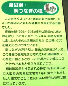 写真４：「駒繋ぎの楠」の都島区の説明板。