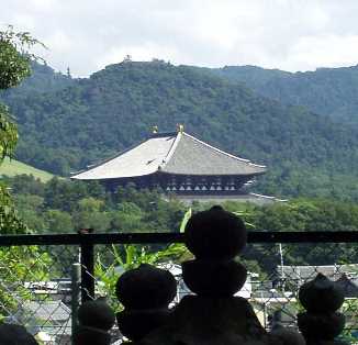 写真Ｔ４－１：無縁仏墓地から見た東大寺大仏殿。