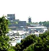 写真Ｔ４－２：無縁仏墓地から見た県庁と興福寺五重塔。