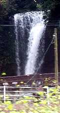 写真１：慈恩の滝。