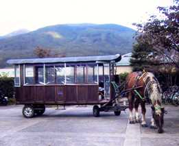 写真３－１：観光用の辻馬車。