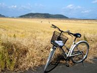 写真１３：私が借りたレンタサイクルと西干拓地の風景。