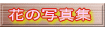 花の写真集