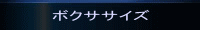 ボクササイズ