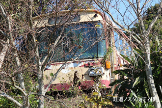 鹿児島交通