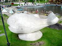 クジラ