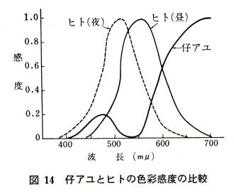 仔アユと人の色彩感覚比較