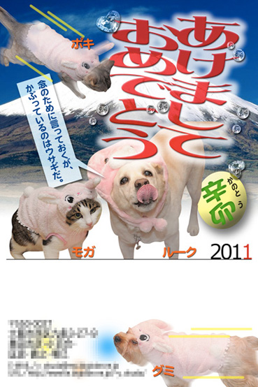 2011年賀状イメージ