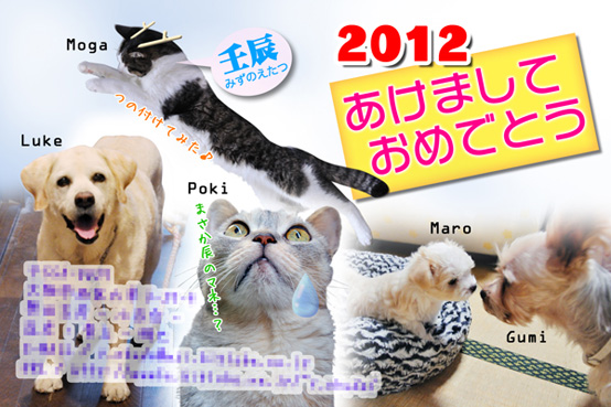 2012年賀状イメージ