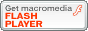 FlashPlayer_E[h摜