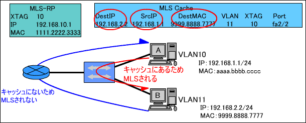 MLS̕