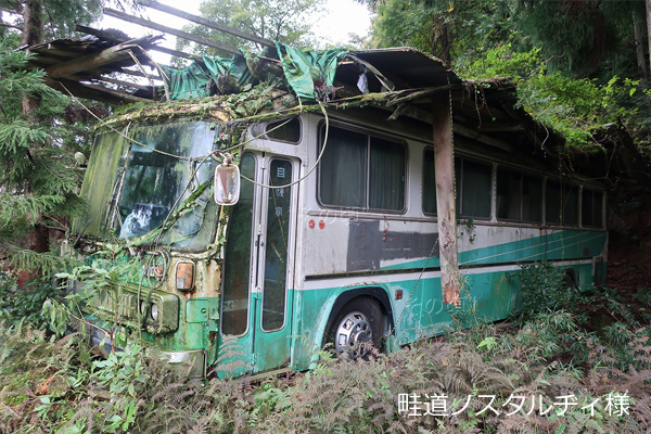自家用バス