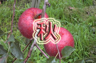 Ĥ