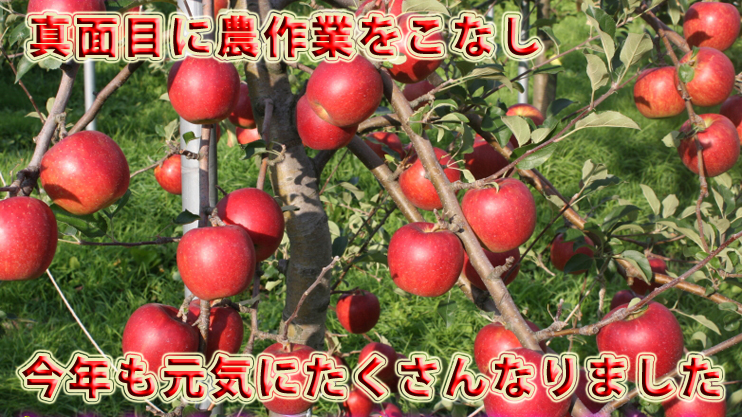 大川りんご園