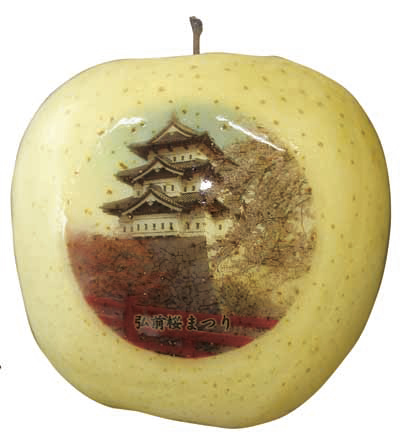 元樹