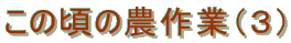 ̍̔_ƁiRj
