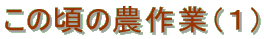 ̍̔_ƁiPj