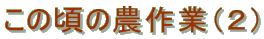 ̍̔_ƁiQj