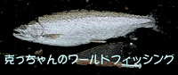 ̃[htBbVO