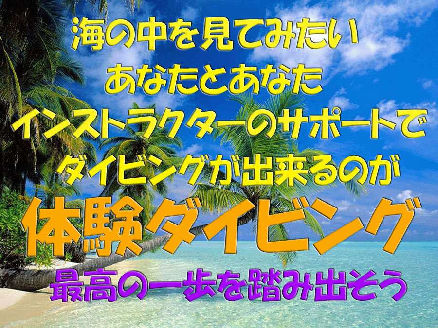 格安体験ダイビングツアー