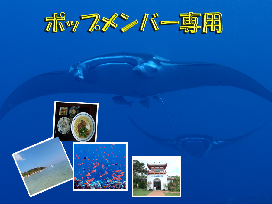 格安ダイビングツアー