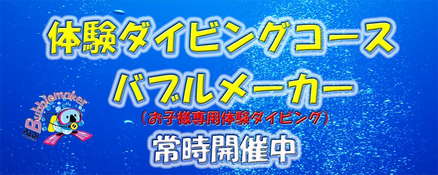 名古屋で体験ダイビングにチャレンジ出来る店、ダイビングの第一歩が体験ダイビング