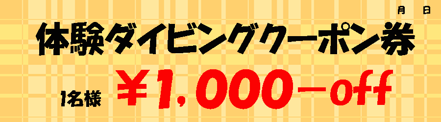 体験ダイビングクーポン
