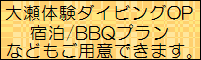 伊豆体験ダイビングコース