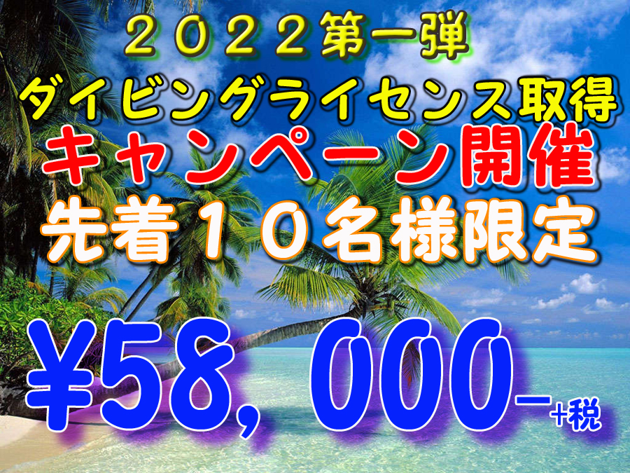 ダイビングスクール割引