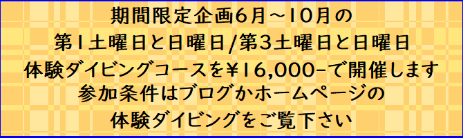 ダイビングツアー
