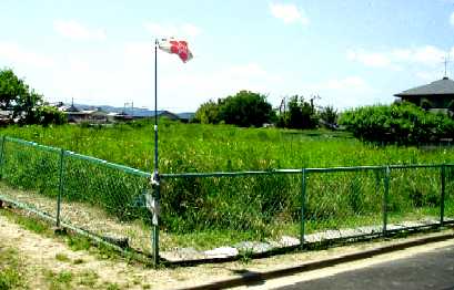 写真ＴＴ１－１：筒井城址の囲い地（＝シロ畑）。