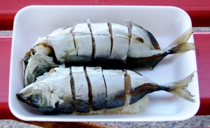 写真０１：土佐の鯵寿司。