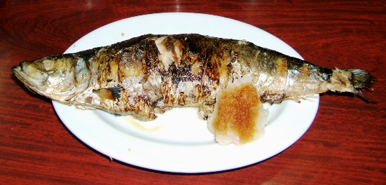 写真ｄ１：鯡の塩焼き（♀）。