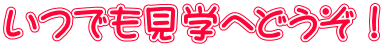 いつでも見学へどうぞ！