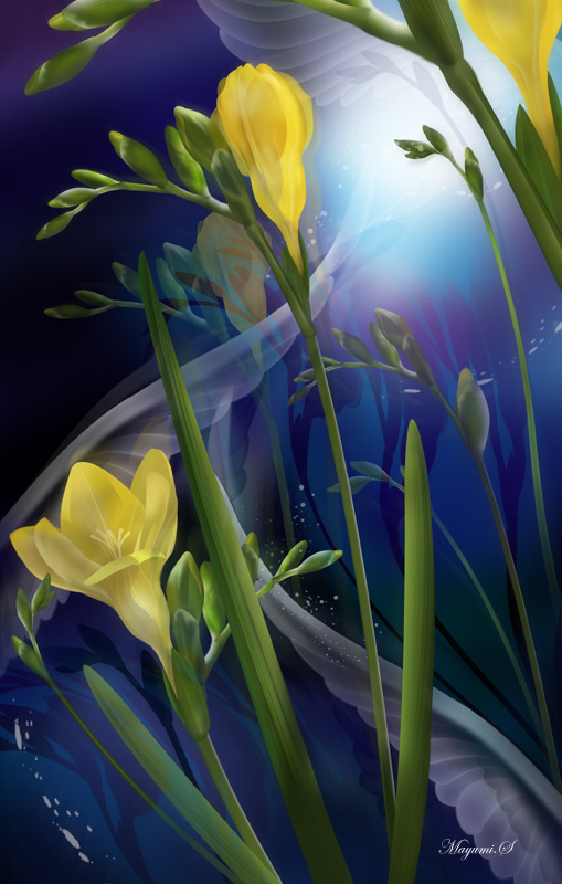 ᗖ@-Freesia-