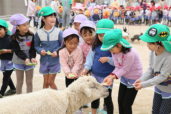 ふれあい動物園