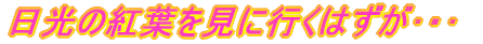 ̍gtɍs͂E