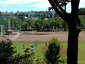陵南公園