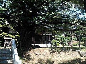 真覚寺・高宰神社