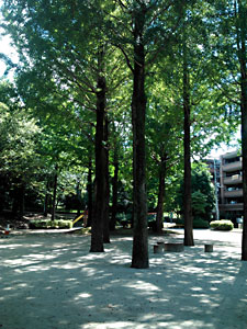 狭間公園