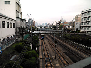 花の橋