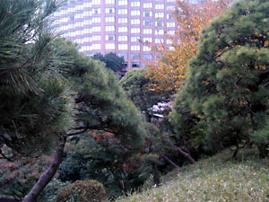 椿山荘庭園