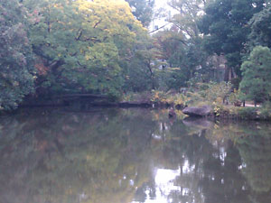 新江戸川公園