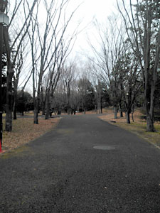 府中の森公園