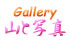 Gallery RƎʐ^ oi[