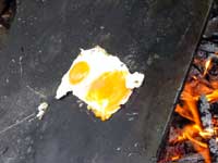黄身が破裂した鶏卵
