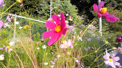 IMG_001178.jpg ( 122 KB )