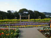 02.2[Ԃ߂10.jpg (72998 oCg)