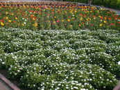 02.2[Ԃ߂12.jpg (121945 oCg)