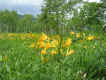 101_0168.JPG (96422 oCg)